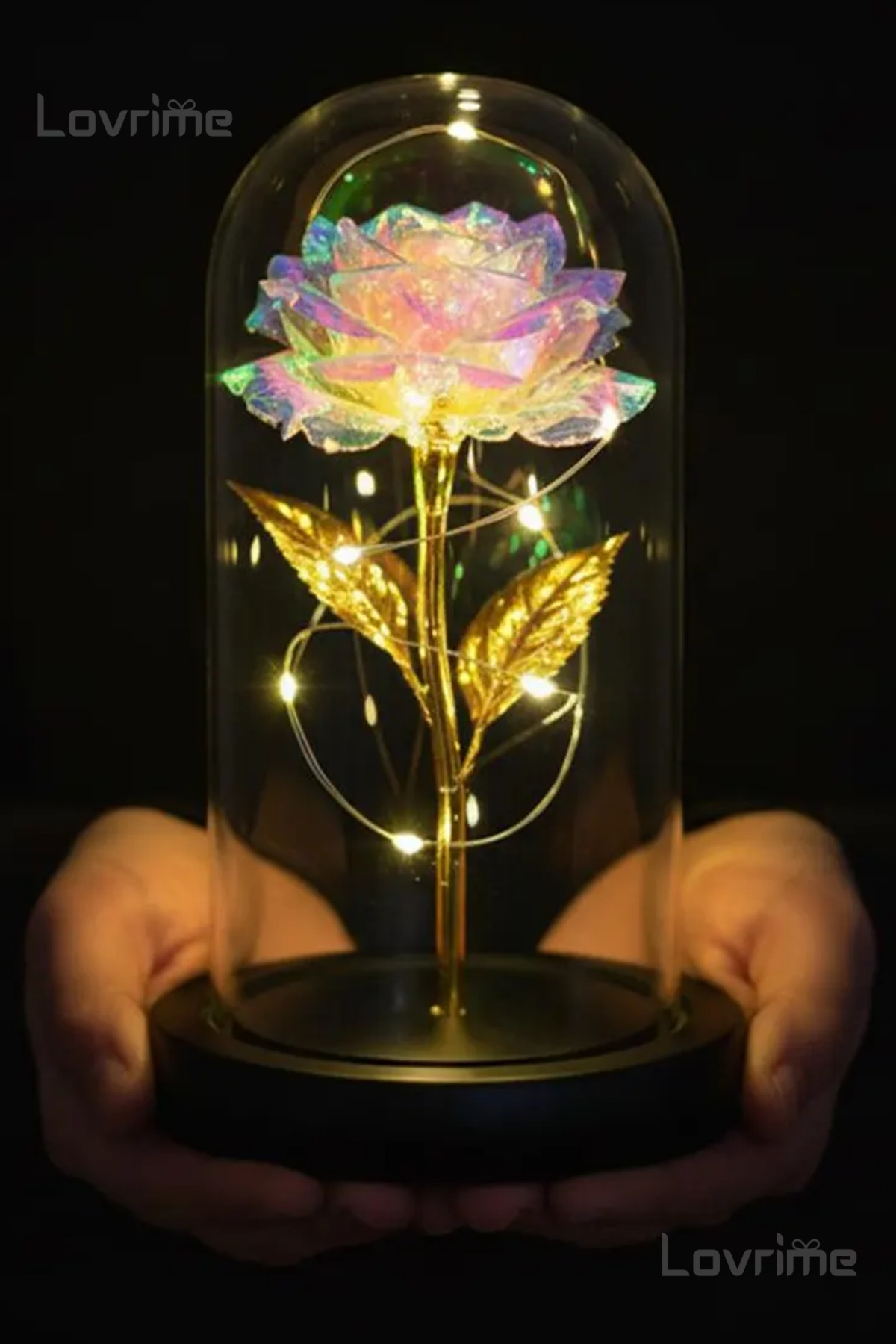 Dekoratif Fanus Rgb Peri Led Işıklı Solmayan Sonsuzluk Gülü Fanusta Gül Sevgiliye Hediye