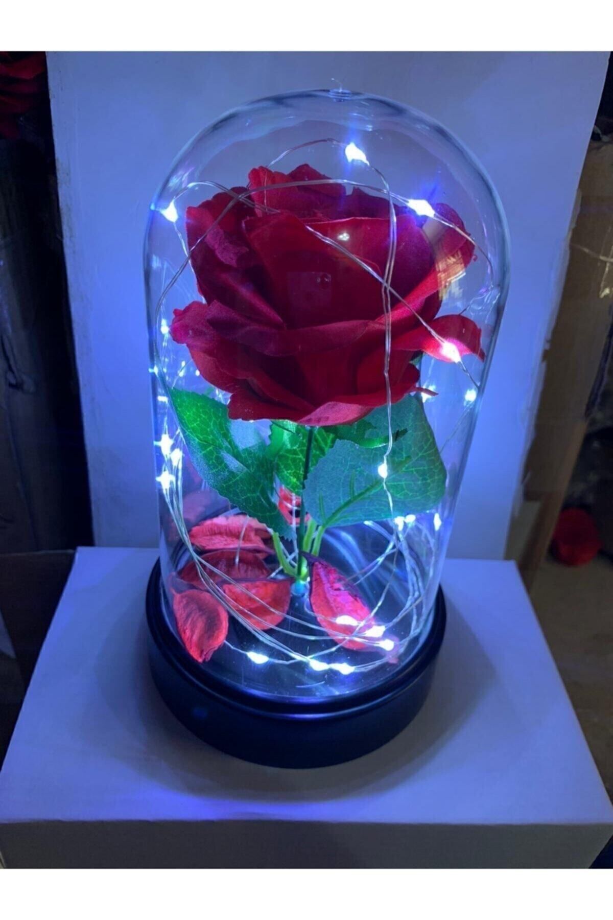 Ledli Kırmızı Gül Işıklı Mika Cam Fanus 22 Cm